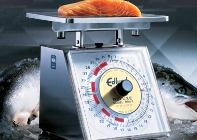 Scale
